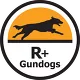 R+Gundog